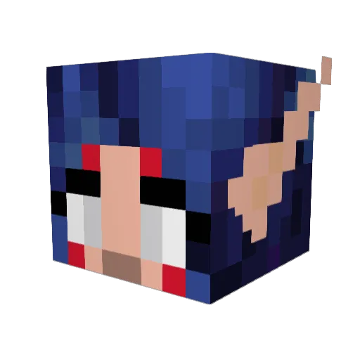 FeralSaber Minecraft avatar head, 3D render