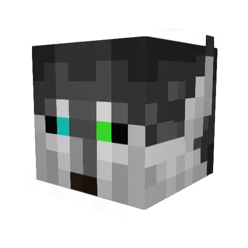 Ferarum Minecraft avatar head, 3D render