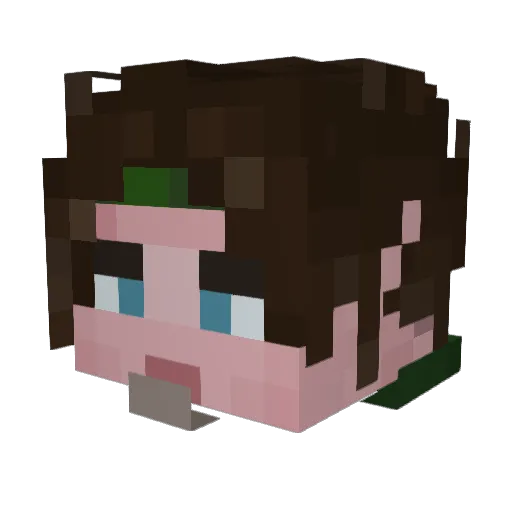 Ferdy2002 Minecraft avatar head, 3D render