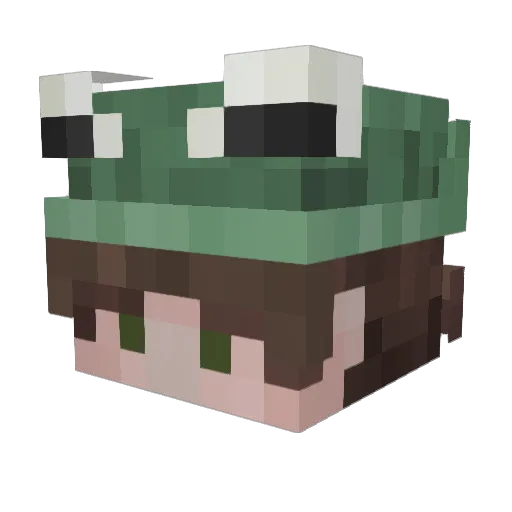 Ferdyfut Minecraft avatar head, 3D render