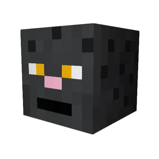 Ferenpanther Minecraft avatar head, 3D render