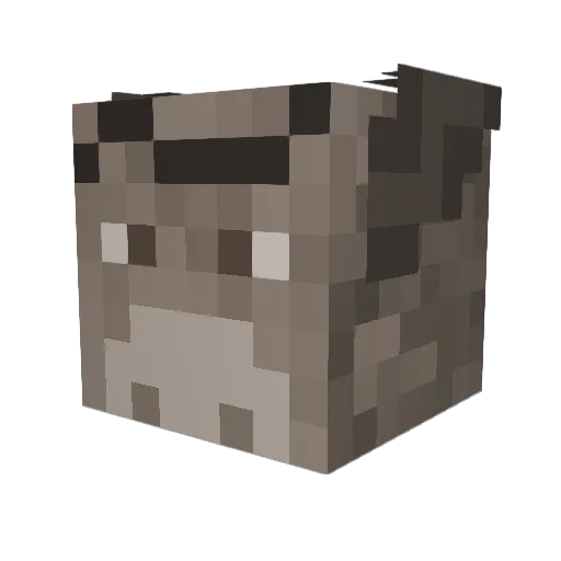 Ferew07 Minecraft avatar head, 3D render
