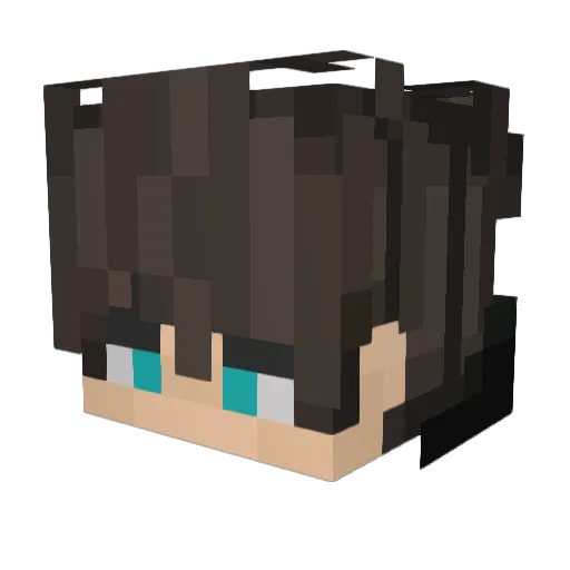 Ferexx Minecraft avatar head, 3D render