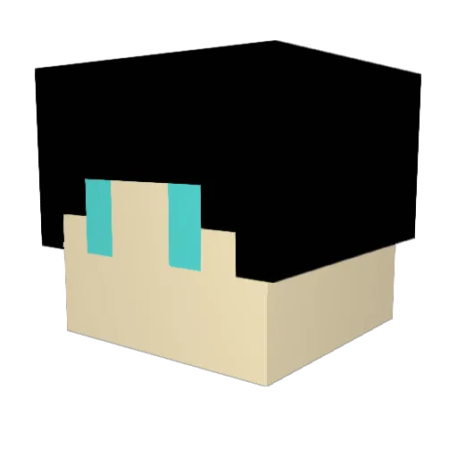 FergHD_ Minecraft avatar head, 3D render