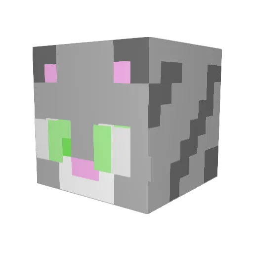 FergalTheCat Minecraft avatar head, 3D render