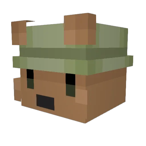 Fergfin Minecraft avatar head, 3D render