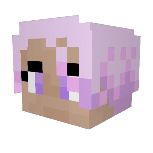 FergonX Minecraft avatar head, 3D render