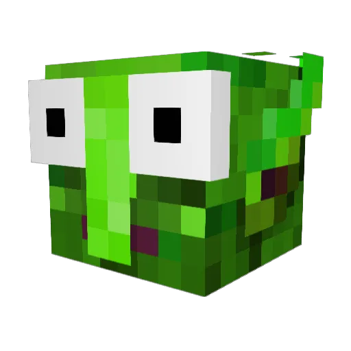 Fergoose1 Minecraft avatar head, 3D render