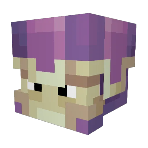 FerianShulker Minecraft avatar head, 3D render