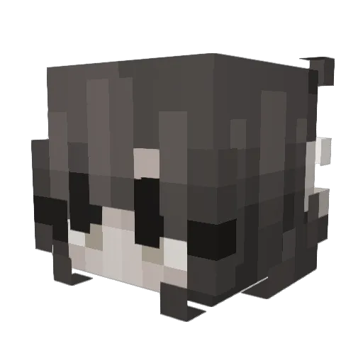 Ferifi Minecraft avatar head, 3D render