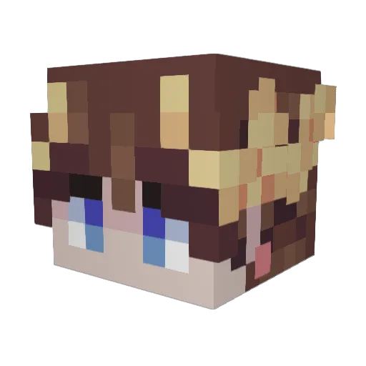 Ferlost Minecraft avatar head, 3D render