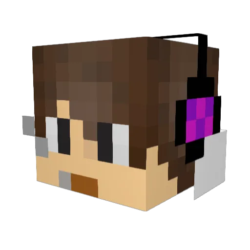 Ferm11 Minecraft avatar head, 3D render