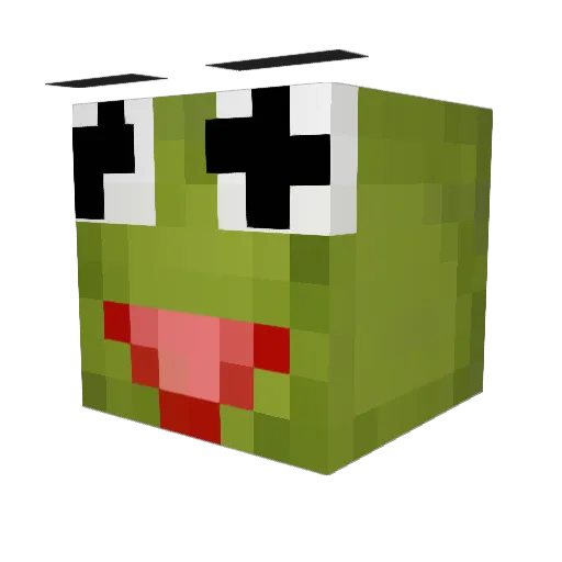 FermitTheKrog Minecraft avatar head, 3D render