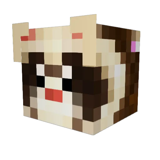 Fern23 Minecraft avatar head, 3D render