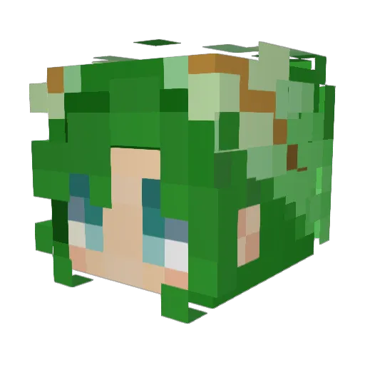 FernTSR Minecraft avatar head, 3D render