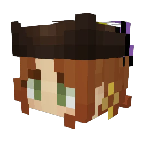FernTheNinja Minecraft avatar head, 3D render