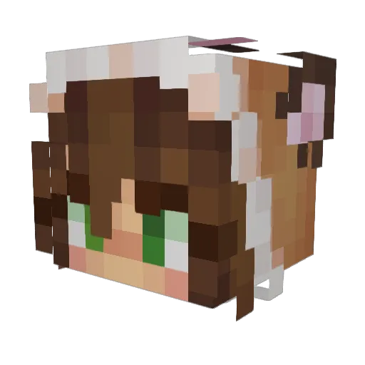 Fern_0_ Minecraft avatar head, 3D render