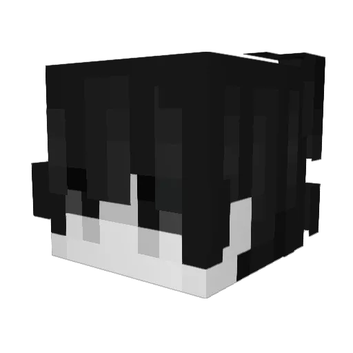 Fernan1010101010 Minecraft avatar head, 3D render