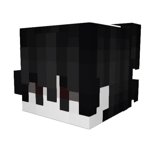 FernanAlts244 Minecraft avatar head, 3D render