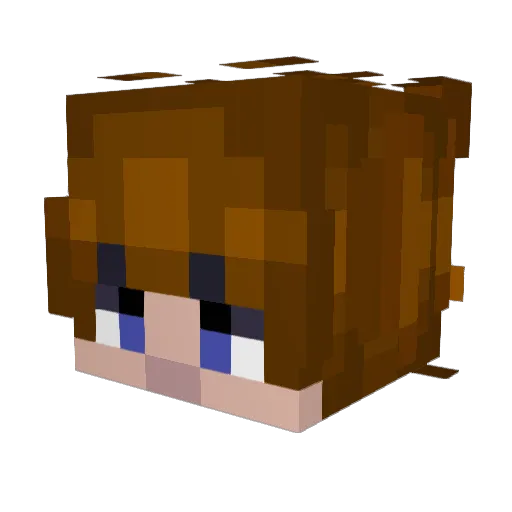 FernanAlts73574 Minecraft avatar head, 3D render