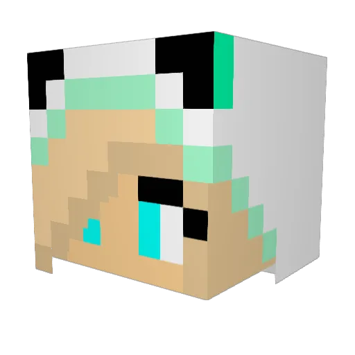 Fernanda_S Minecraft avatar head, 3D render