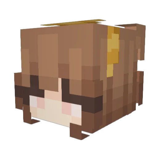 FernandinhaF3 Minecraft avatar head, 3D render
