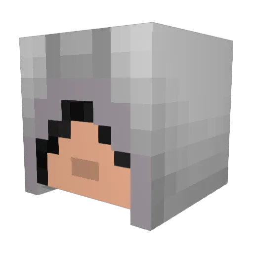 FernandoCoC Minecraft avatar head, 3D render