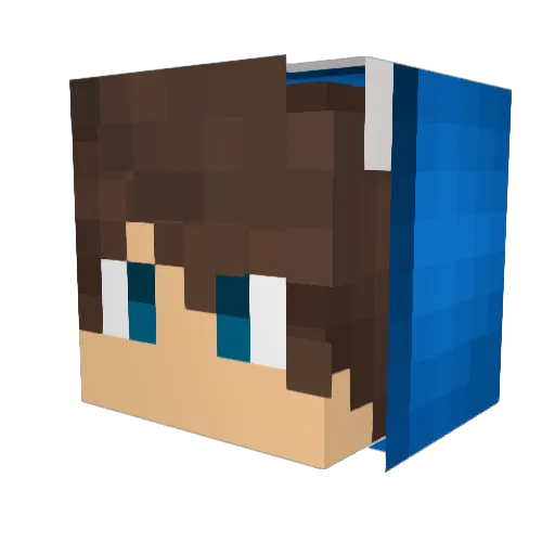 Fernando_FN Minecraft avatar head, 3D render