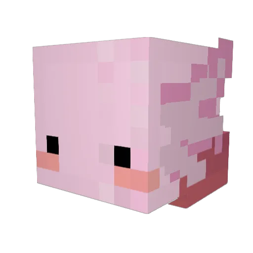 Fernanox300_Xd Minecraft avatar head, 3D render
