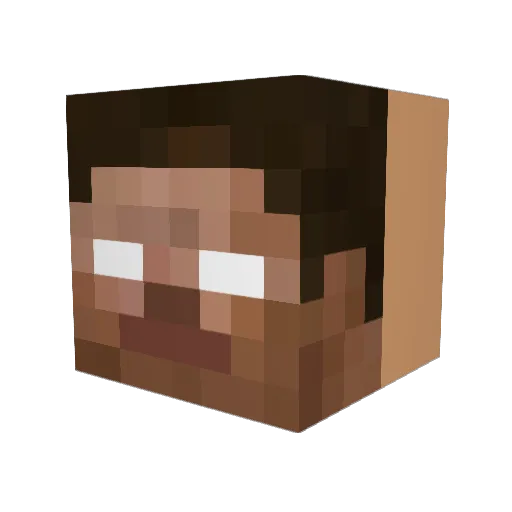 Ferndog21 Minecraft avatar head, 3D render