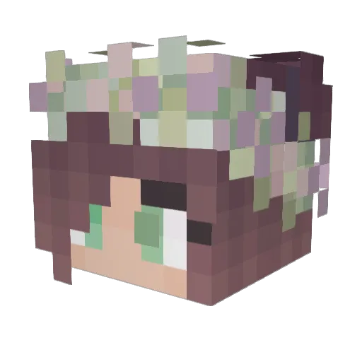 Fernlish Minecraft avatar head, 3D render