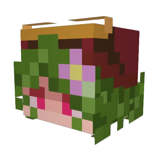 Fernthepigeon Minecraft avatar head, 3D render
