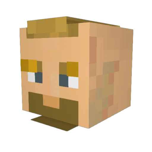 Fernuca Minecraft avatar head, 3D render