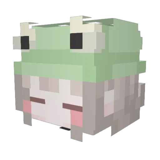 Fernweh_ Minecraft avatar head, 3D render