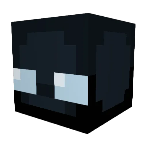 Fernzy07 Minecraft avatar head, 3D render