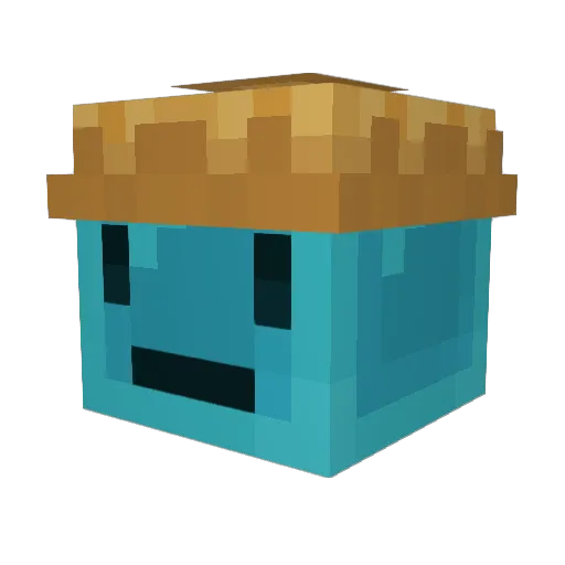Ferocan18 Minecraft avatar head, 3D render