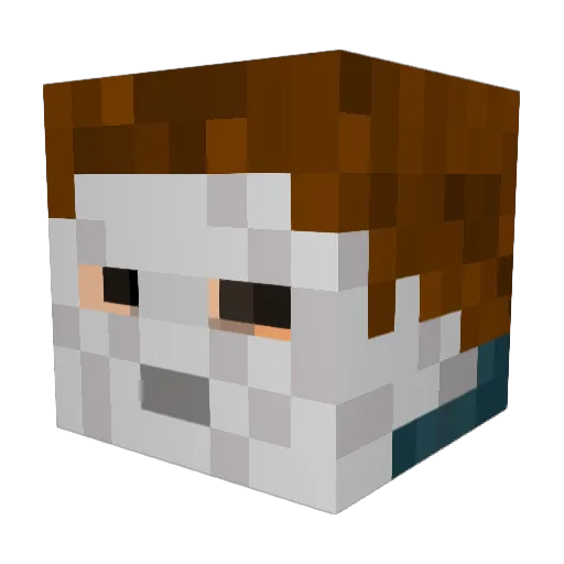 Ferolex Minecraft avatar head, 3D render
