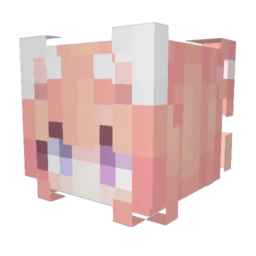 FeroniaDort Minecraft avatar head, 3D render