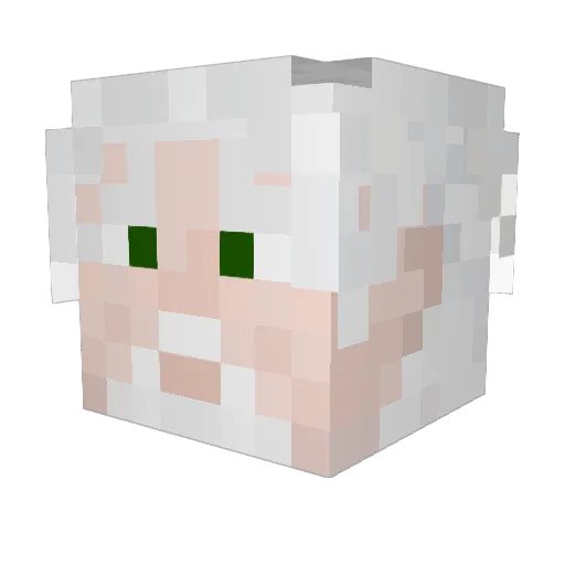 Feronox Minecraft avatar head, 3D render