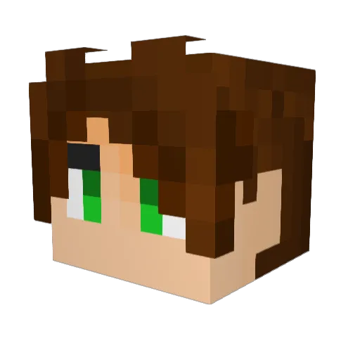 Ferraeon Minecraft avatar head, 3D render