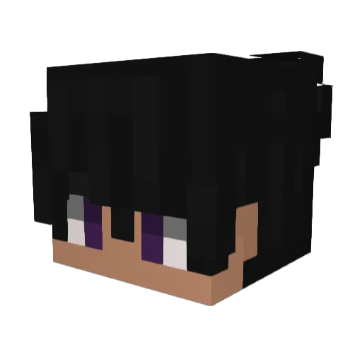 Ferraz_S2 Minecraft avatar head, 3D render
