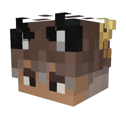 Ferrct Minecraft avatar head, 3D render