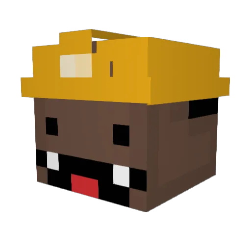 Ferreiraz_ Minecraft avatar head, 3D render
