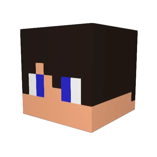 Ferreirix17 Minecraft avatar head, 3D render