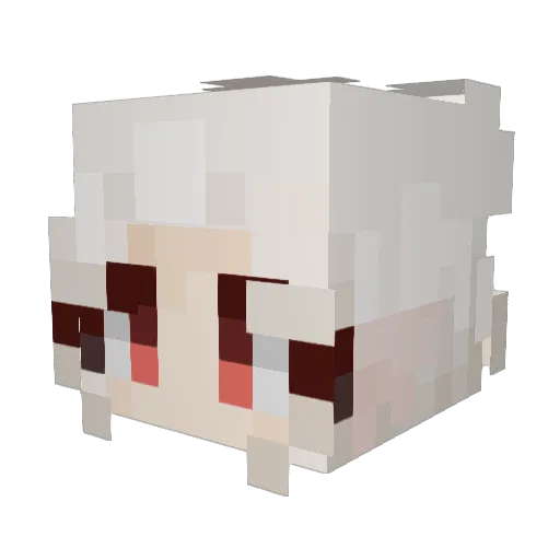 Ferret5273 Minecraft avatar head, 3D render