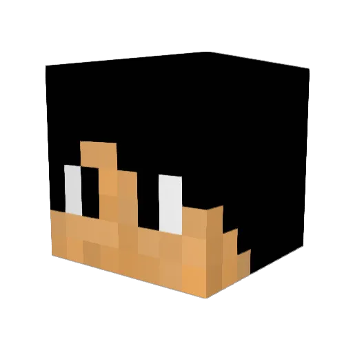 FerretBabyy Minecraft avatar head, 3D render