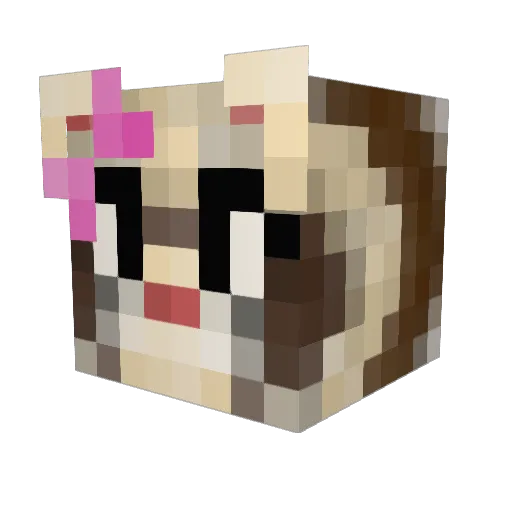 FerretMila Minecraft avatar head, 3D render