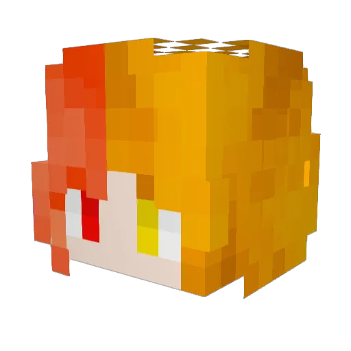 Ferretbrat14 Minecraft avatar head, 3D render