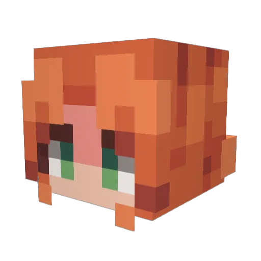 Ferretbull Minecraft avatar head, 3D render