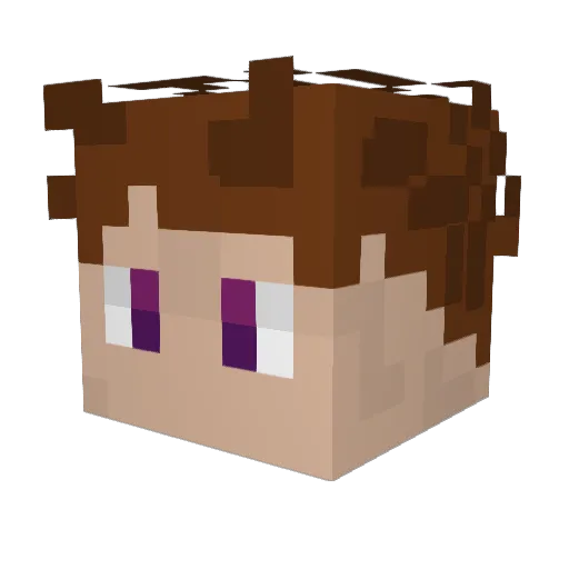 Ferretosan Minecraft avatar head, 3D render
